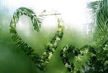 2018年世界杯巴西队为何未能夺冠？